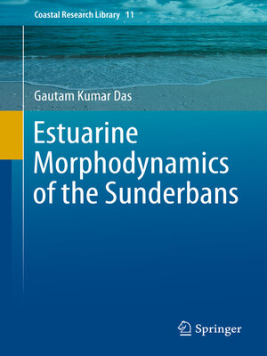 cover image of Estuarine Morphodynamics of the Sunderbans